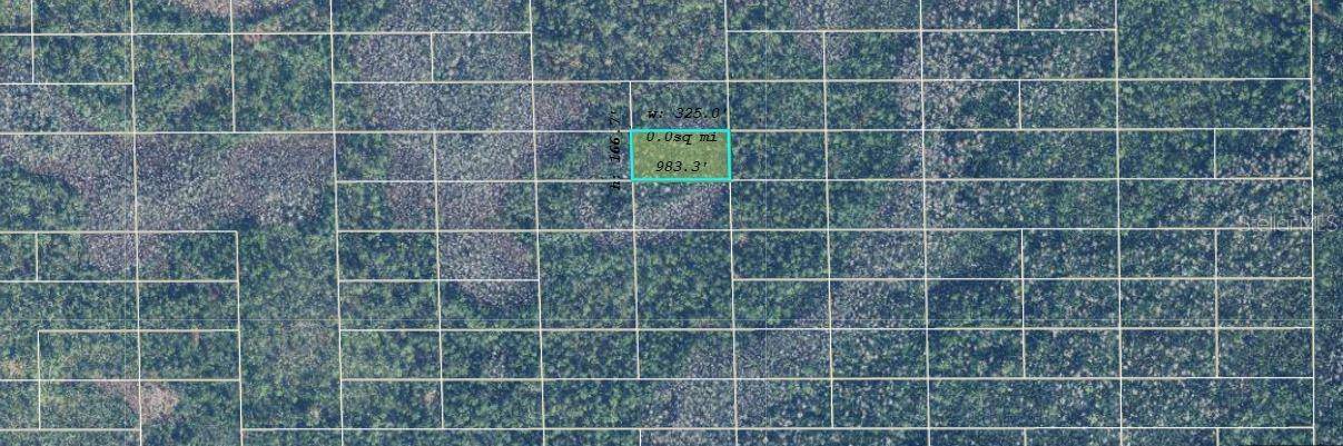 DILL RD, Orlando, FL 32820