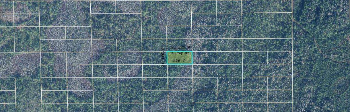 DILL RD, Orlando, FL 32820