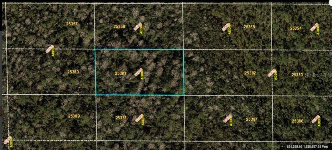 DILL RD, Orlando, FL 32820