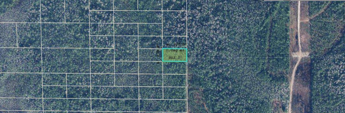 DILL RD, Orlando, FL 32820