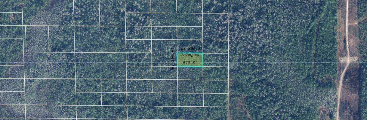 DILL RD, Orlando, FL 32820
