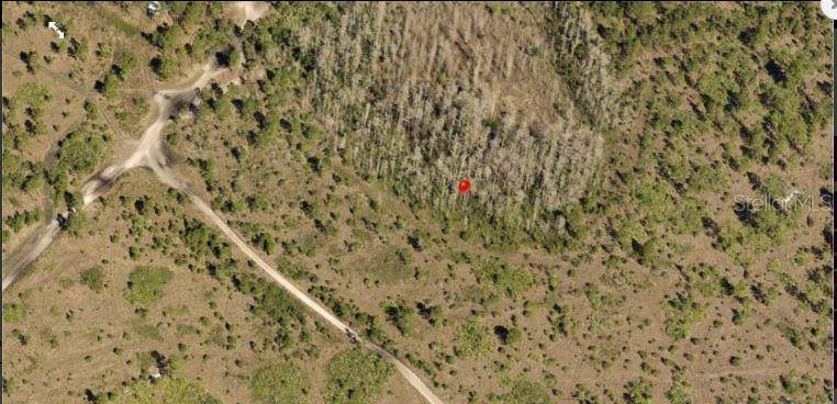 HOLOPAW GROVES RD, St Cloud, FL 34773