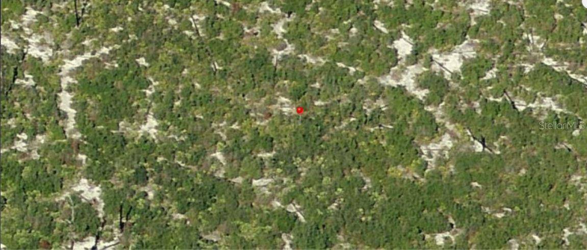 HOLOPAW GROVES RD, St Cloud, FL 34773