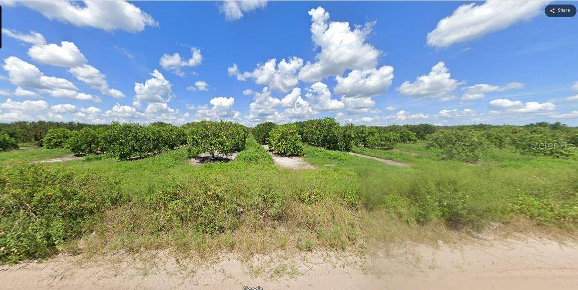 HOLOPAW GROVES RD, St Cloud, FL 34773