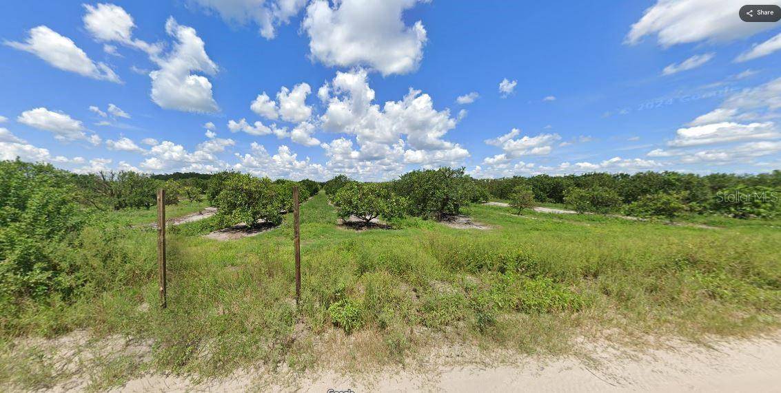 HOLOPAW GROVES RD, St Cloud, FL 34773