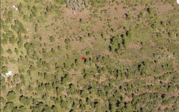 HOLOPAW GROVES RD, St Cloud, FL 34773