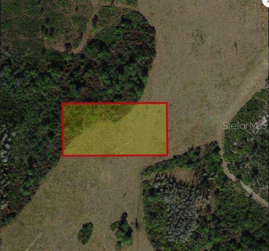 HOLOPAW GROVES RD, St Cloud, FL 34773