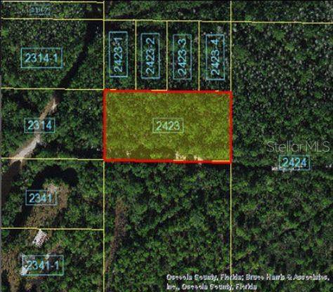 HOLOPAW GROVES RD, St Cloud, FL 34773