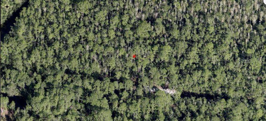 HOLOPAW GROVES RD, St Cloud, FL 34773