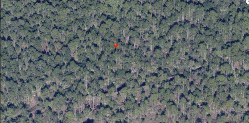 HOLOPAW GROVES RD, St Cloud, FL 34773