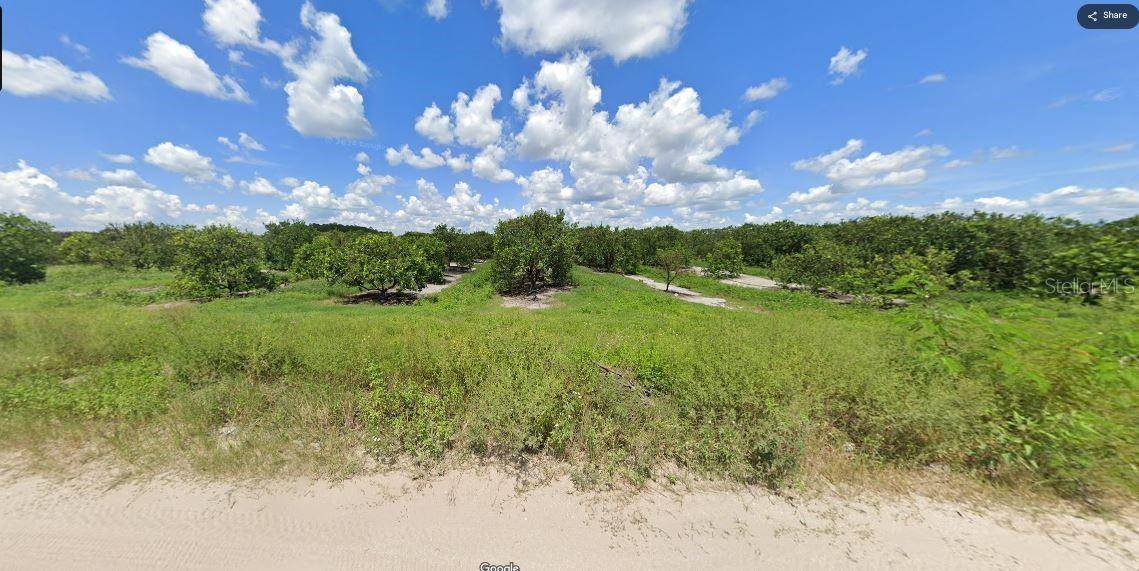HOLOPAW GROVES RD, St Cloud, FL 34773