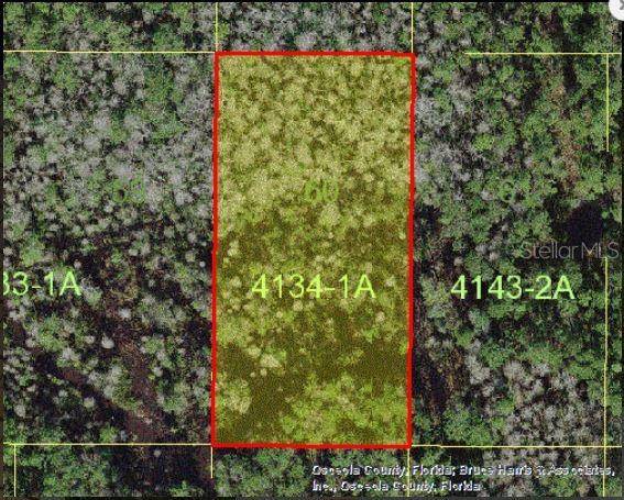 HOLOPAW GROVES RD, St Cloud, FL 34773