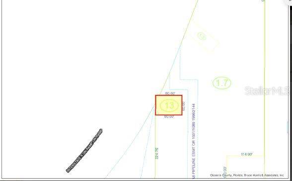 N OLD LAKE WILSON RD, Kissimmee, FL 34747
