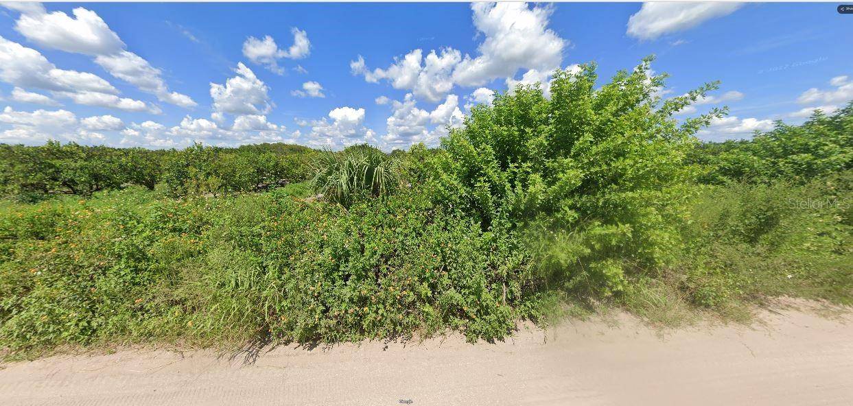 HOLOPAW GROVES RD, St Cloud, FL 34773
