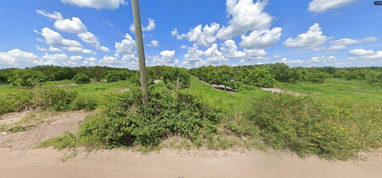 HOLOPAW GROVES RD, St Cloud, FL 34773
