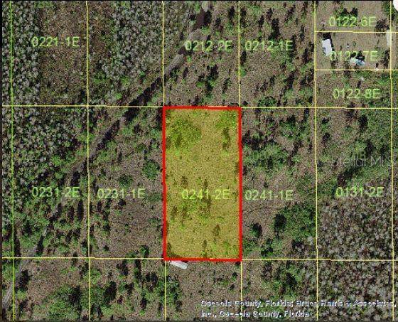 HOLOPAW GROVES RD, St Cloud, FL 34773