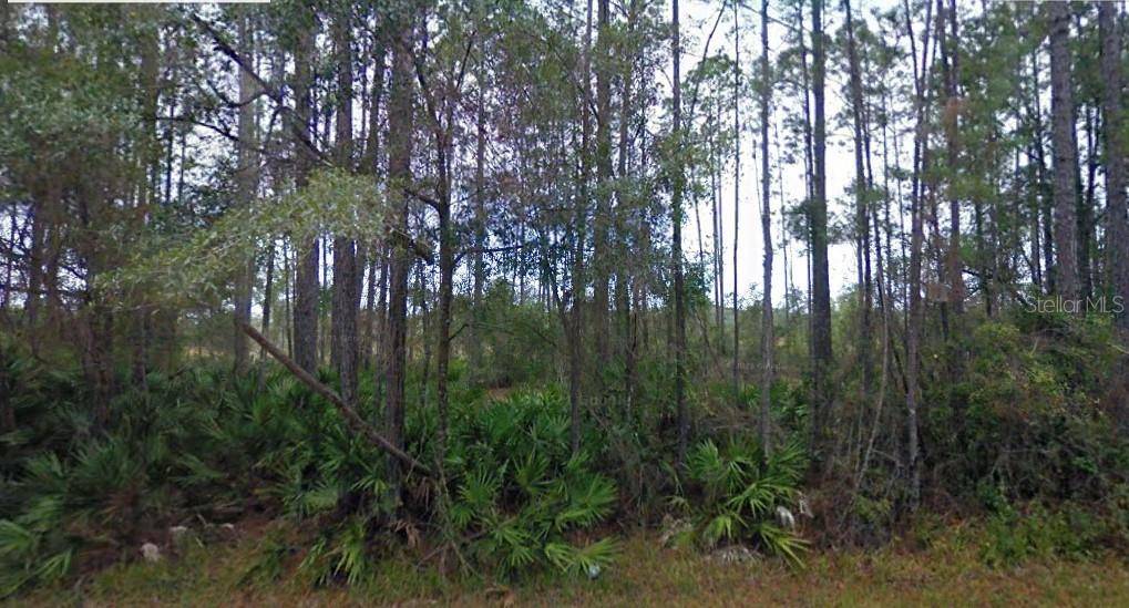 NE 65TH AVE, Citra, FL 32113