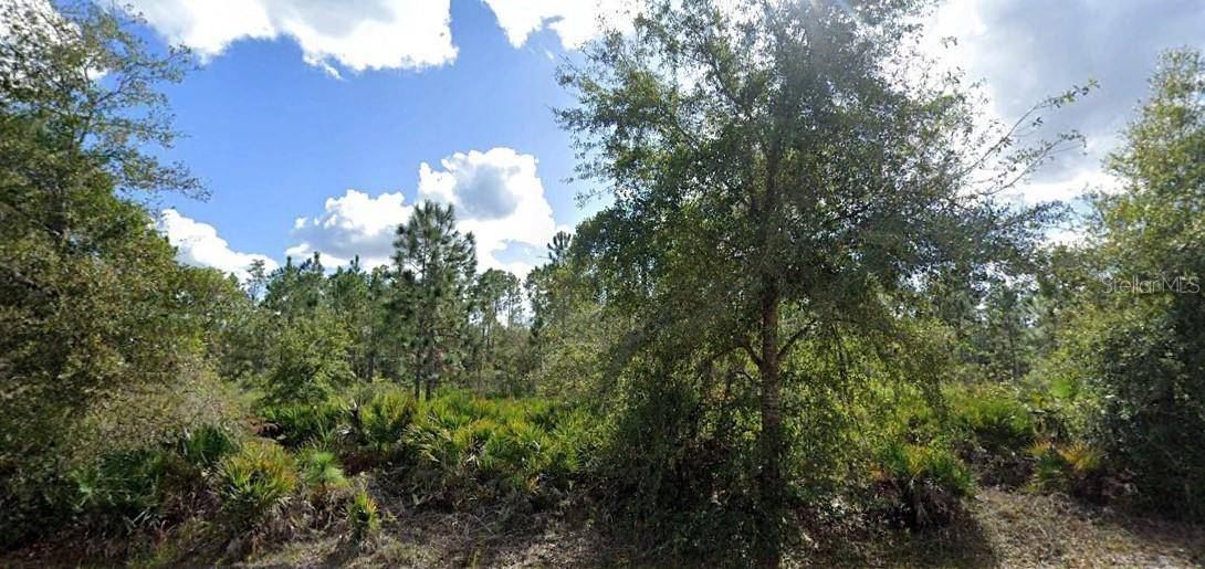 ALBA DR, Indian Lake Estates, FL 33855