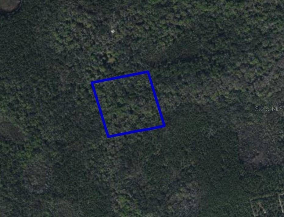 095 PINE NEEDLE RD, Mims, FL 32754