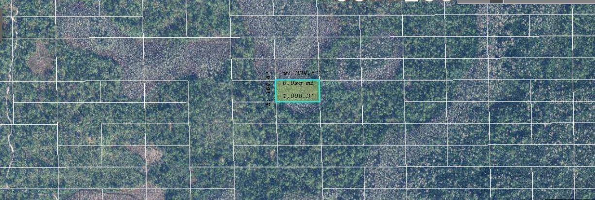 DILL RD, Orlando, FL 32820