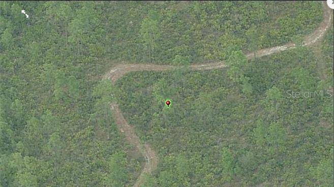 FORT CHRISTMAS RD, Orlando, FL 32820