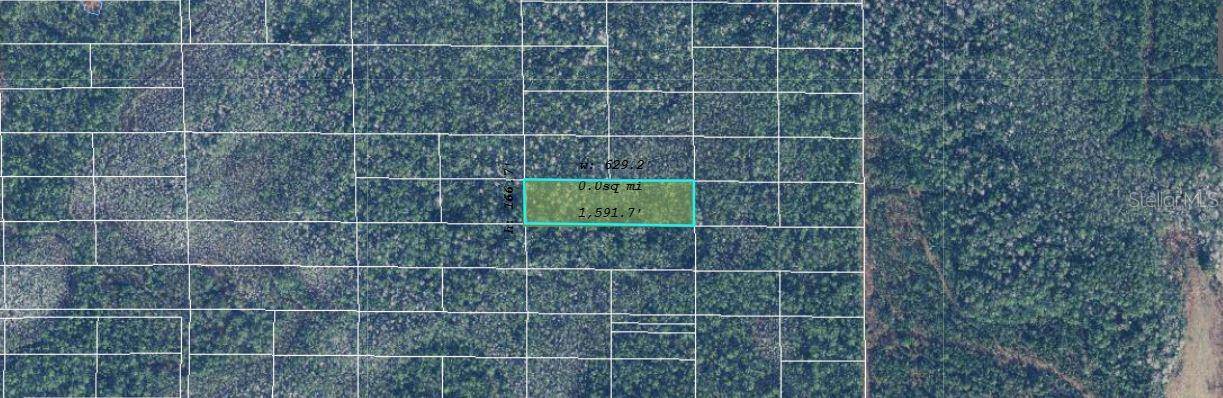 DILL RD, Orlando, FL 32820