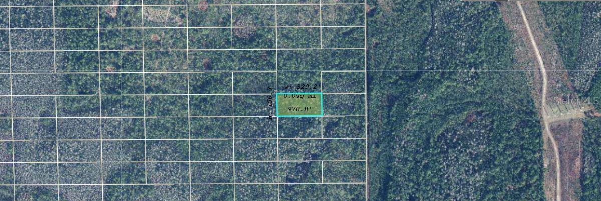 DILL RD, Orlando, FL 32820