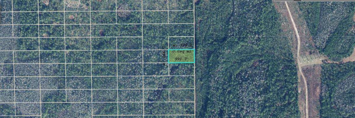 DILL RD, Orlando, FL 32820