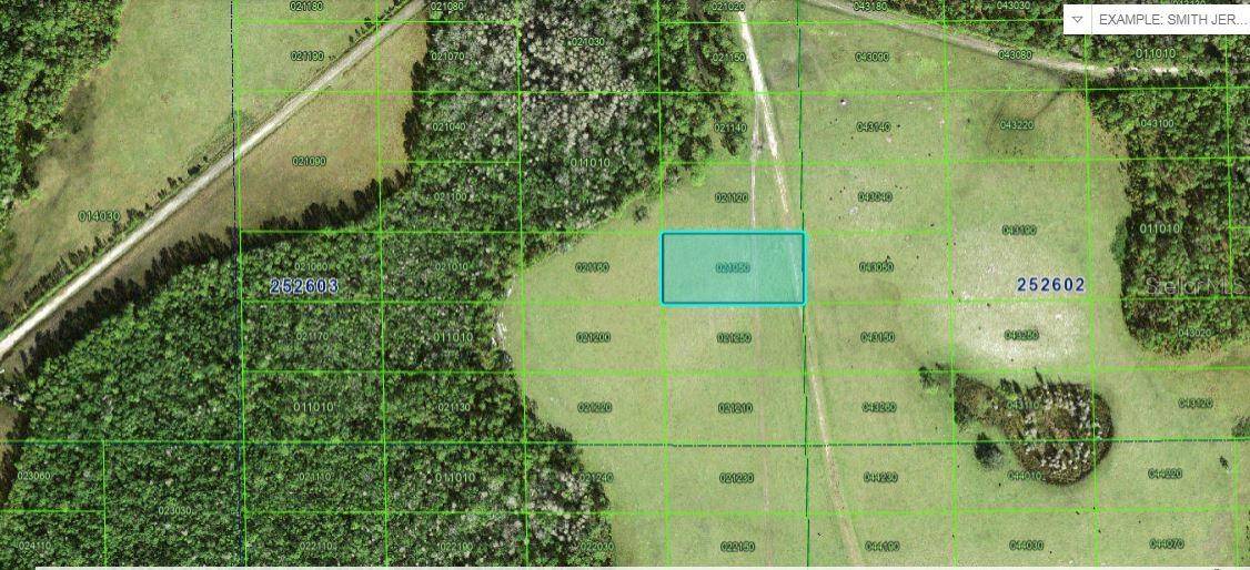 DEEN STILL RD, Polk City, FL 33868