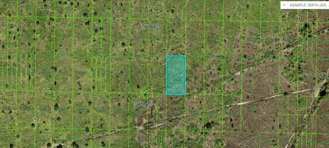 RIVER RANCH BLVD, Lake Wales, FL 33898