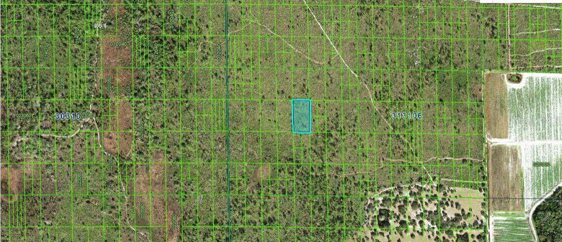 Lake Wales, FL 33898