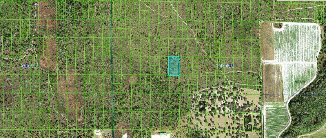 Lake Wales, FL 33898