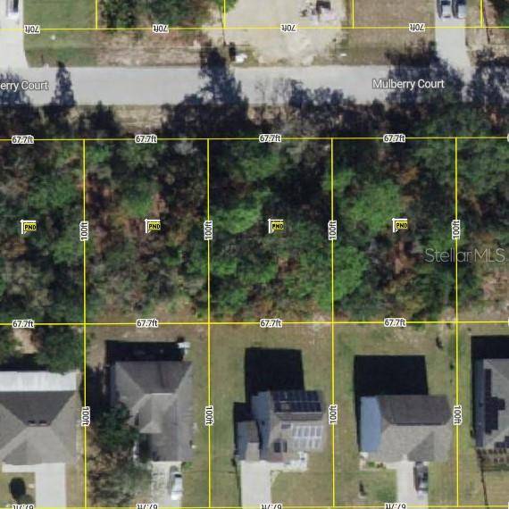 410 MULBERRY CT, Poinciana, FL 34759