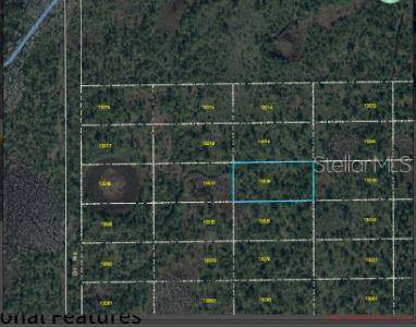 DILL RD, Orlando, FL 32820