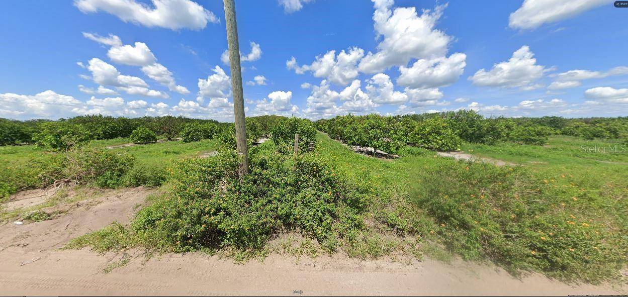 HOLOPAW GROVES RD, St Cloud, FL 34773