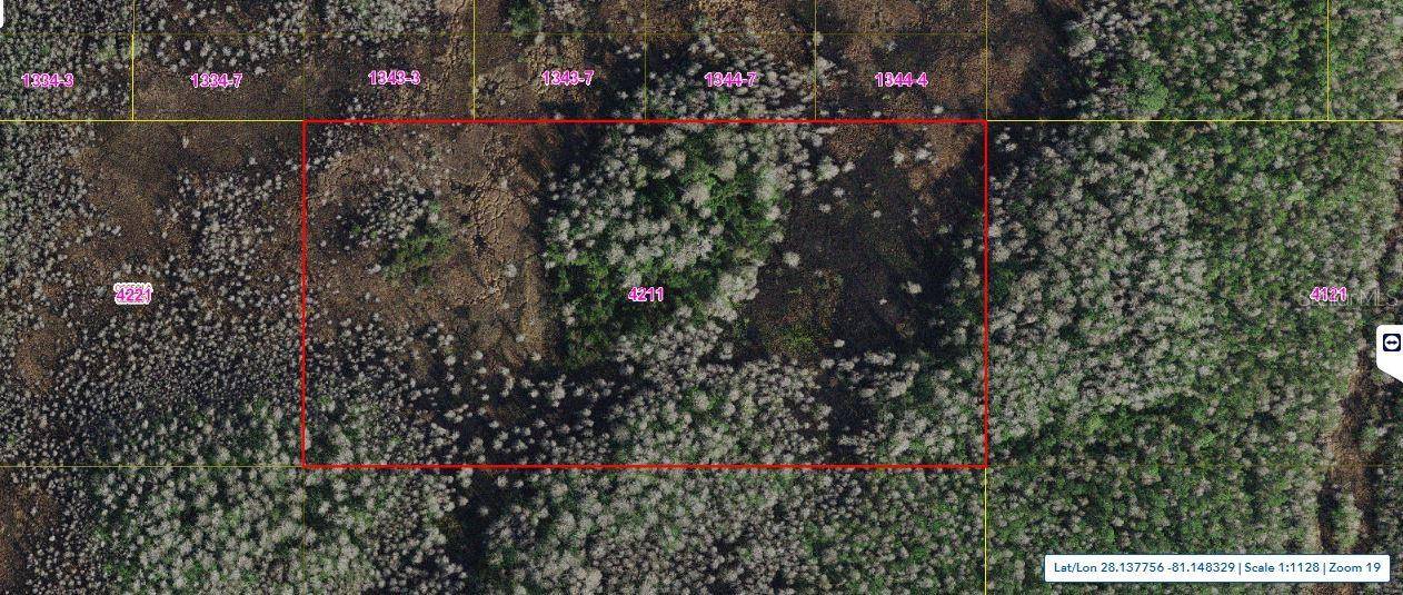 HOLOPAW GROVES RD, St Cloud, FL 34773