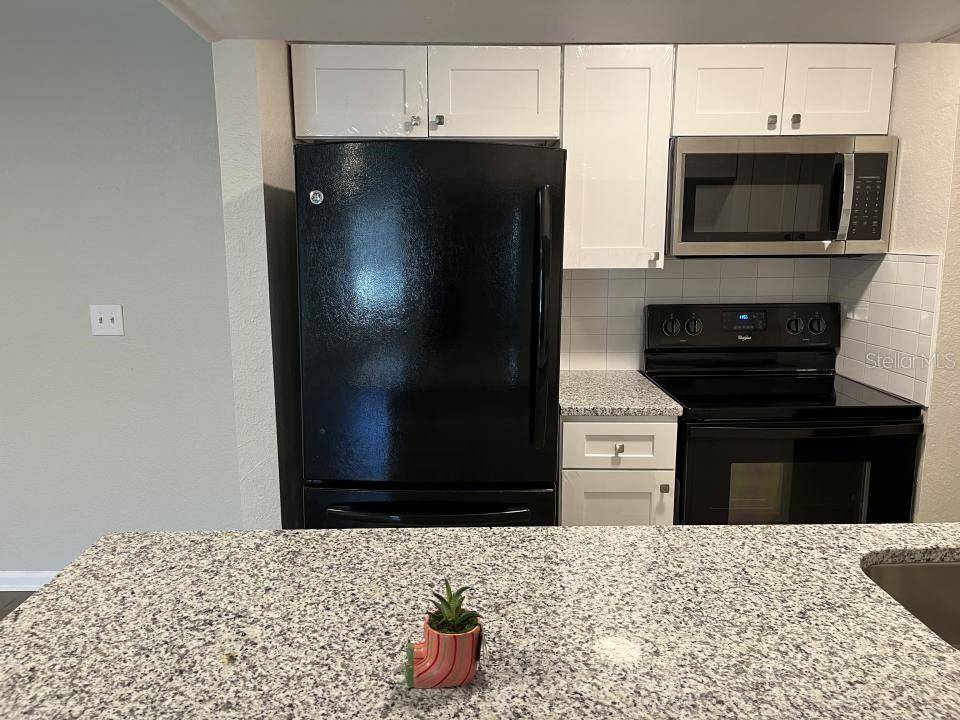 624 GOLDEN RAINTREE PL #624, Brandon, FL 33510