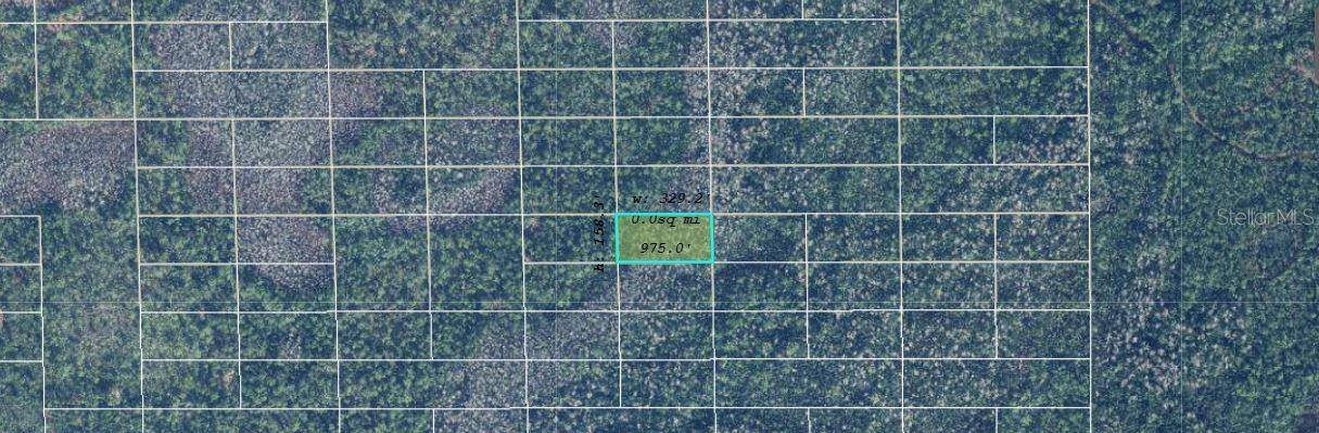 DILL RD, Orlando, FL 32820