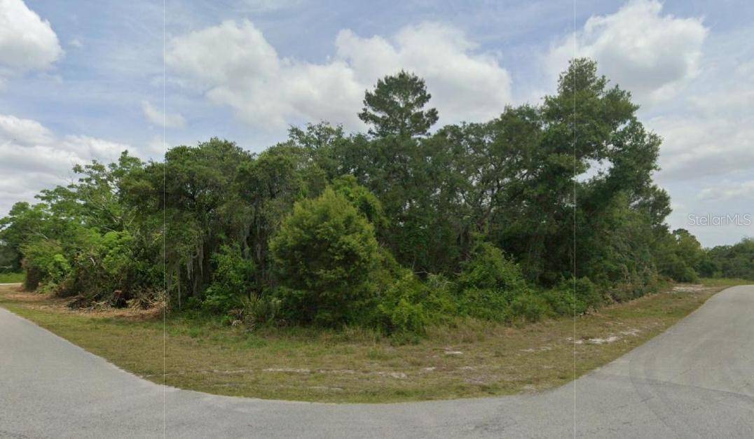 430 GRANT AVE NE, Lake Placid, FL 33852
