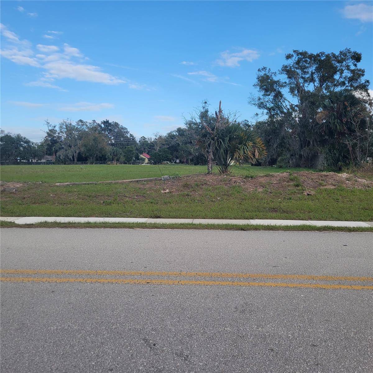 3103 WASHINGTON ST, Zellwood, FL 32798