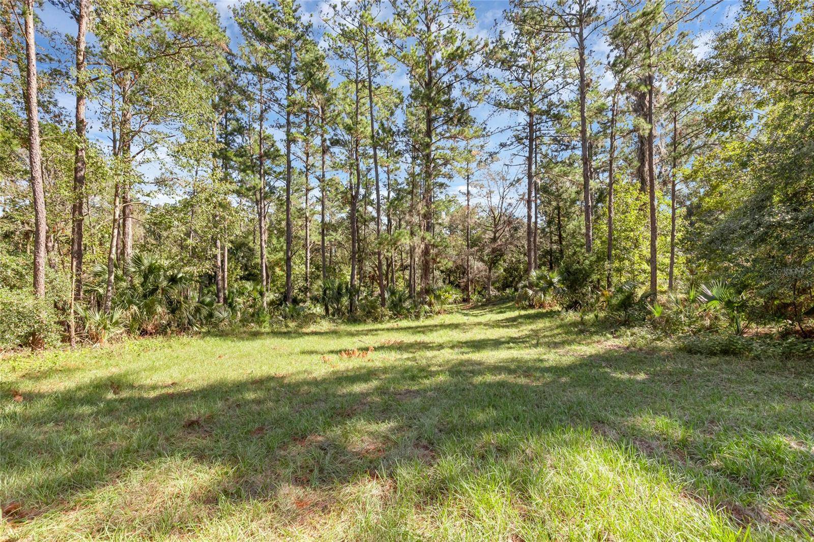 BRONSON RD, Sorrento, FL 32776