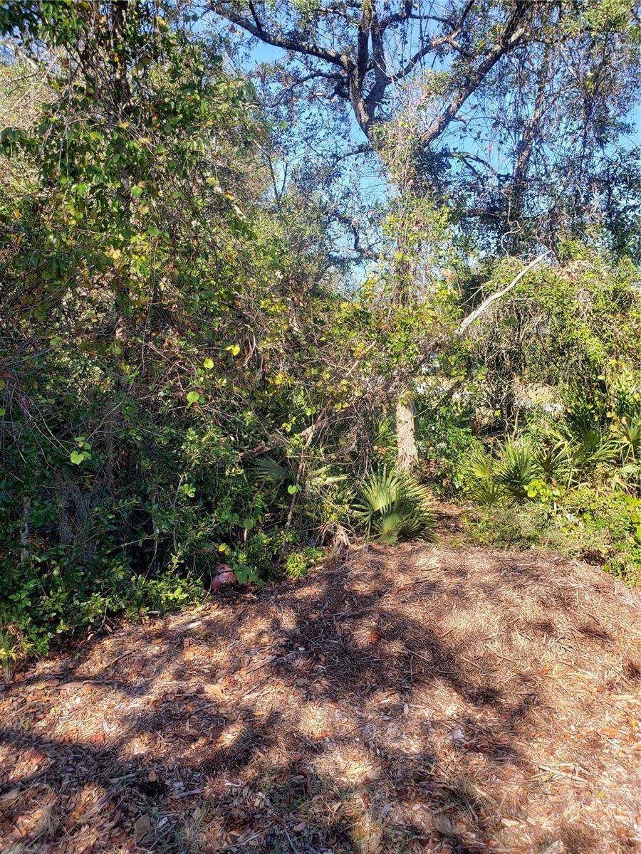 CHESTNUT AVE, Orange City, FL 32763