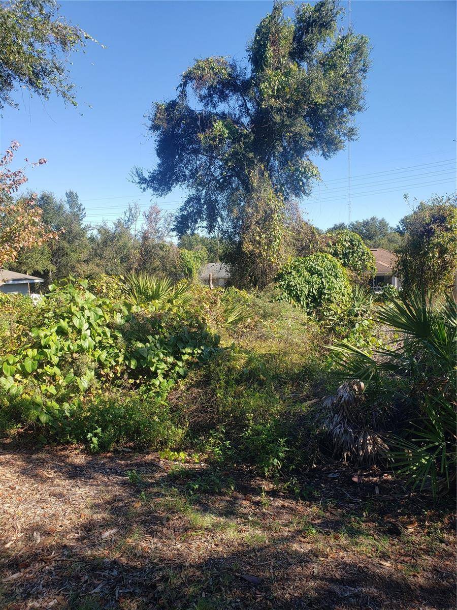 CHESTNUT AVE, Orange City, FL 32763