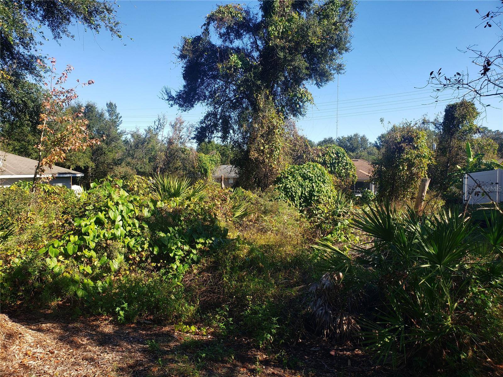 CHESTNUT AVE, Orange City, FL 32763