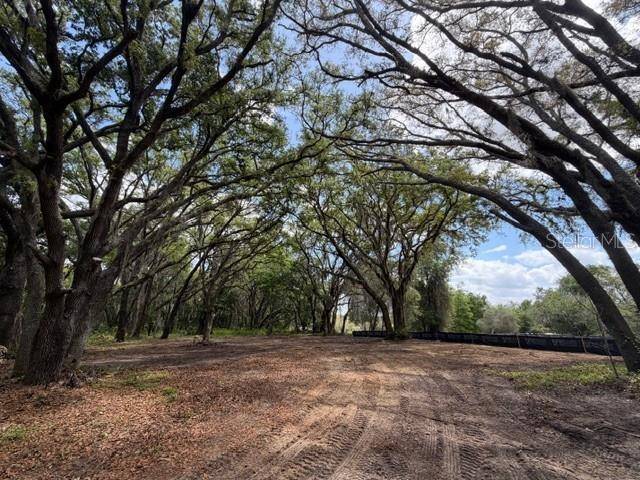 17144 PHIL C PETERS RD, Winter Garden, FL 34787