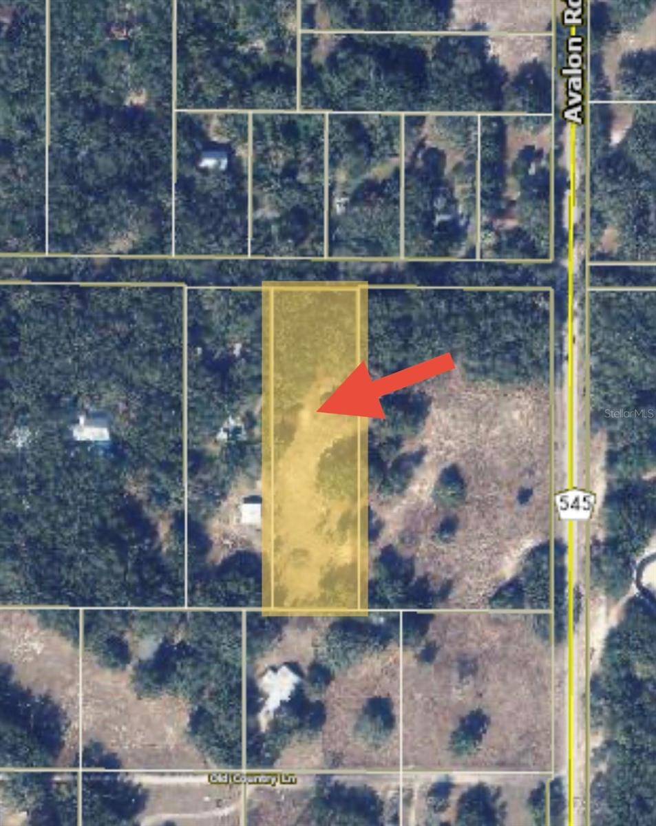 17144 PHIL C PETERS RD, Winter Garden, FL 34787