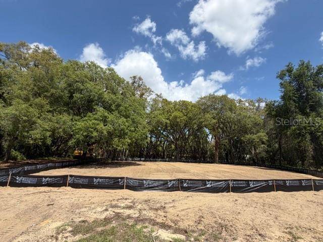 17144 PHIL C PETERS RD, Winter Garden, FL 34787