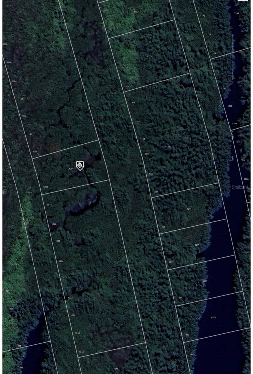1204 MALALUKA CT, Punta Gorda, FL 33983