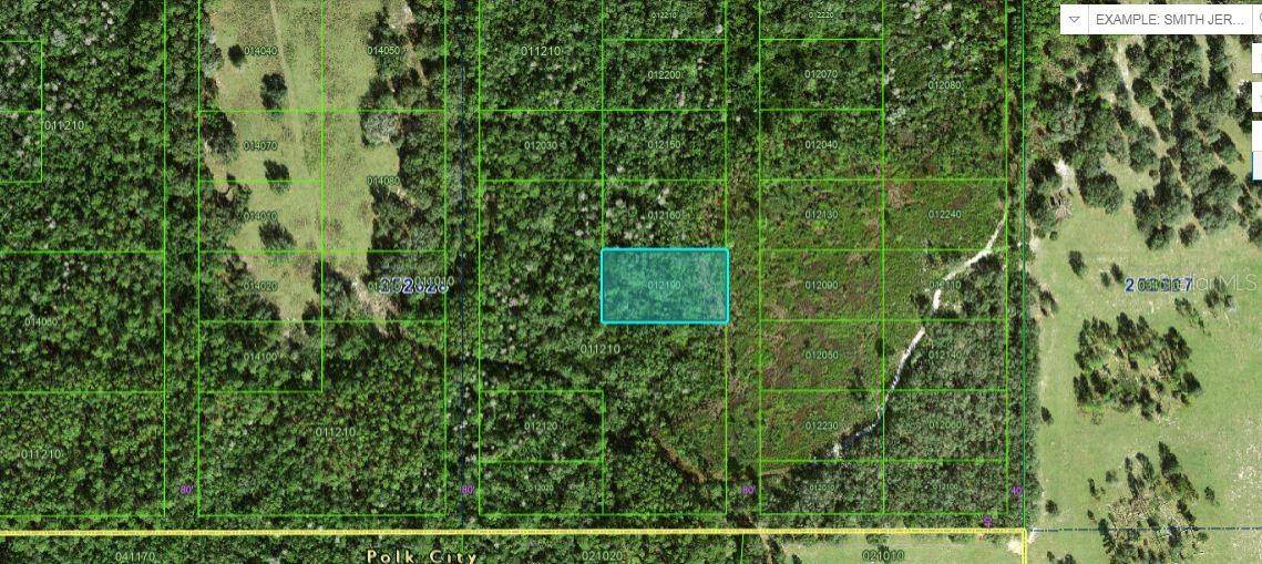 COMMONWEALTH AVE N, Polk City, FL 33868