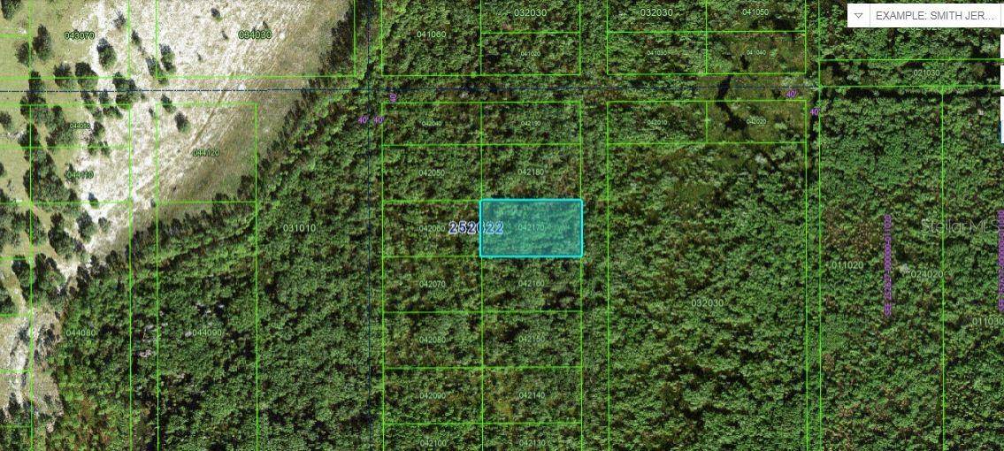COMMONWEALTH AVE N, Polk City, FL 33868